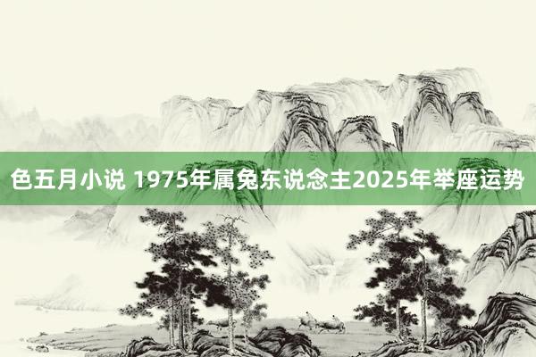 色五月小说 1975年属兔东说念主2025年举座运势