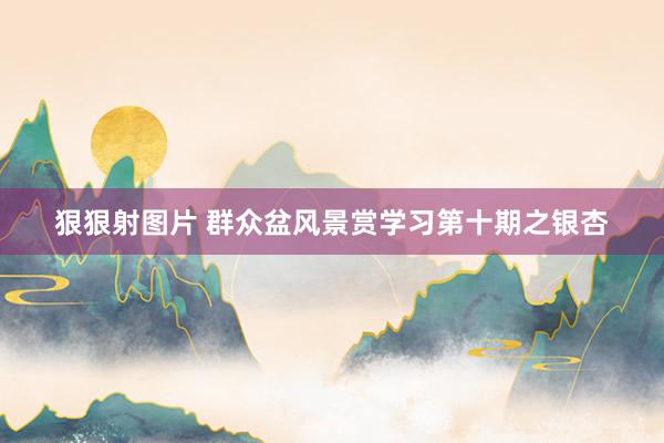 狠狠射图片 群众盆风景赏学习第十期之银杏
