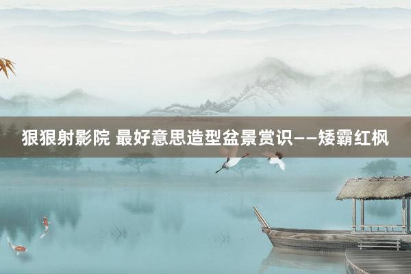 狠狠射影院 最好意思造型盆景赏识——矮霸红枫
