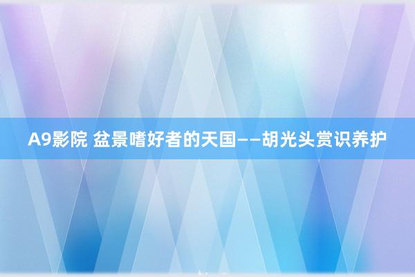 A9影院 盆景嗜好者的天国——胡光头赏识养护