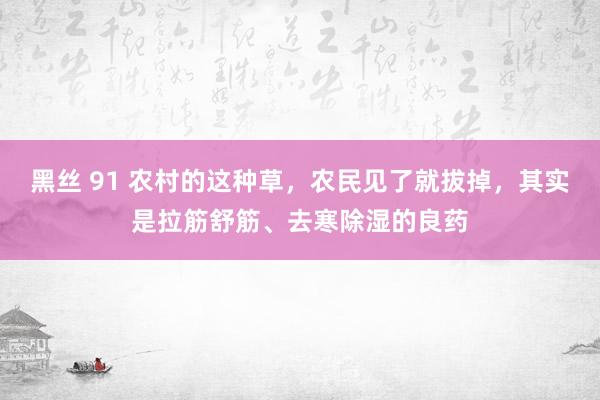 黑丝 91 农村的这种草，农民见了就拔掉，其实是拉筋舒筋、去寒除湿的良药