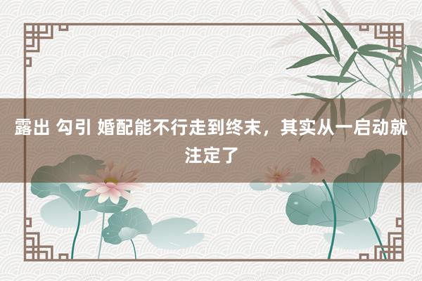 露出 勾引 婚配能不行走到终末，其实从一启动就注定了