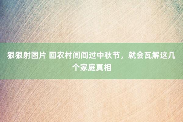 狠狠射图片 回农村闾阎过中秋节，就会瓦解这几个家庭真相