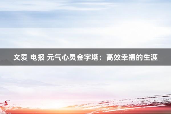 文爱 电报 元气心灵金字塔：高效幸福的生涯