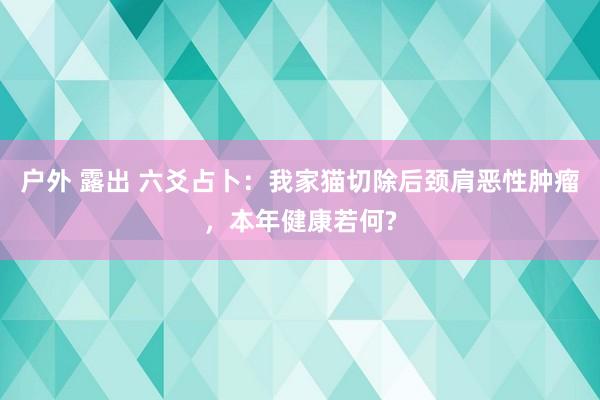 户外 露出 六爻占卜：我家猫切除后颈肩恶性肿瘤，本年健康若何?